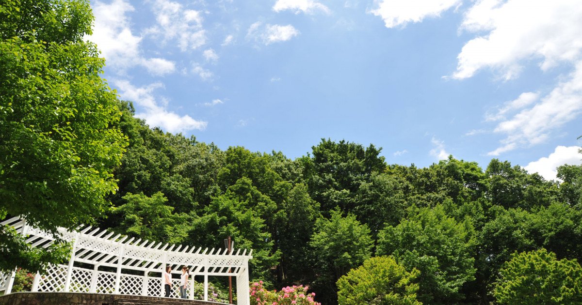 🌳 나나사와 삼림공원 (七沢森林公園) 이미지 8